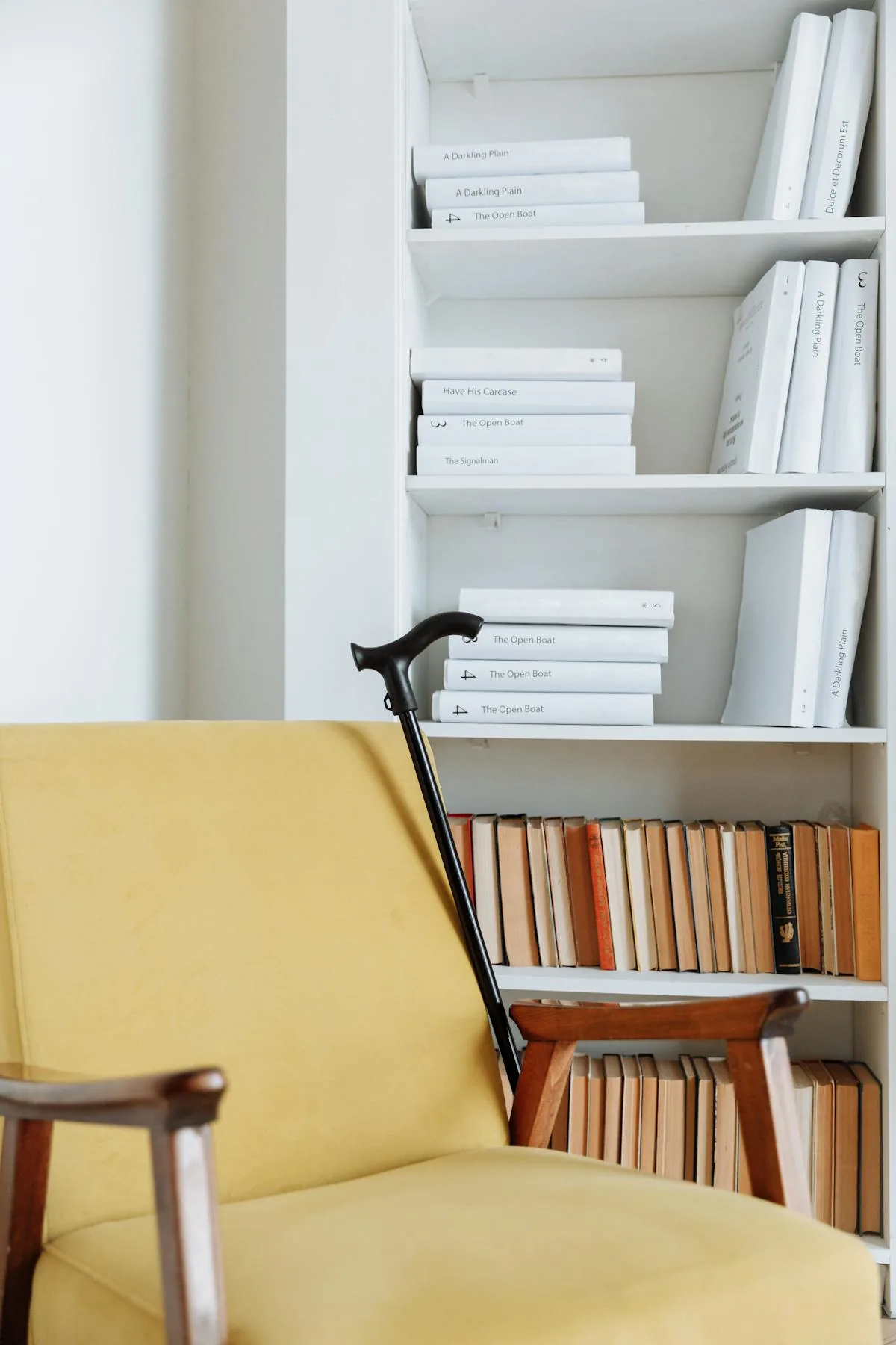 Focused reading area at Areca library